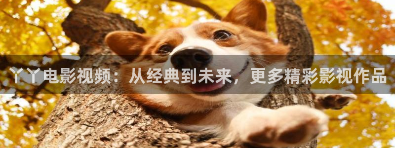 秋霞电影二：丫丫电影视频：从经典到未来，更多精彩影视作品