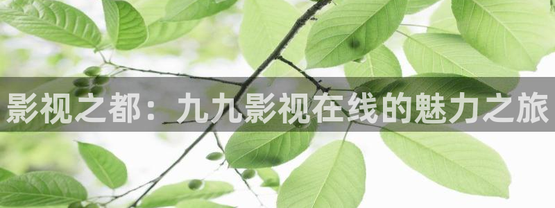 秋霞成人在线影院：影视之都：九九影视在线的魅力之旅