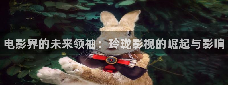 秋霞伦理片：电影界的未来领袖：玲珑影视的崛起与影响