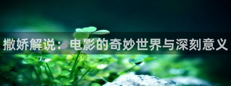 美女秋霞电影：撒娇解说：电影的奇妙世界与深刻意义