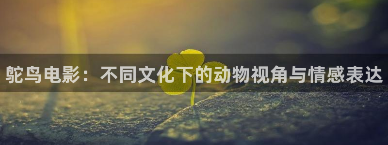 秋霞电影先锋网：鸵鸟电影：不同文化下的动物视角与情感表达