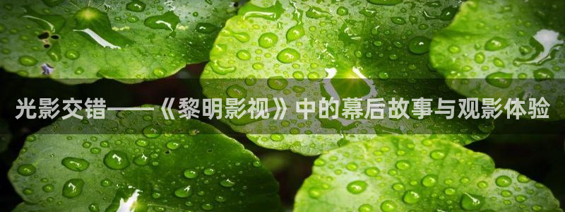 秋霞电影午：光影交错——《黎明影视》中的幕后故事与观影体验