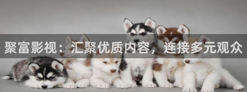 秋霞理伦在线电影：聚富影视：汇聚优质内容，连接多元观众