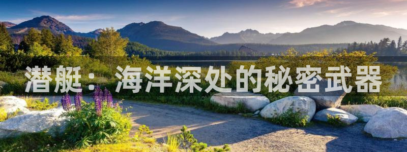 秋霞电影三级：潜艇：海洋深处的秘密武器