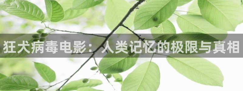 秋霞鲁丝视频在线观看：狂犬病毒电影：人类记忆的极限与真相