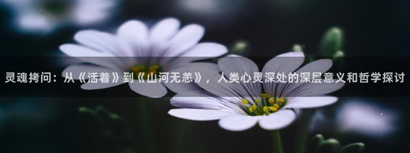 秋霞午夜大片