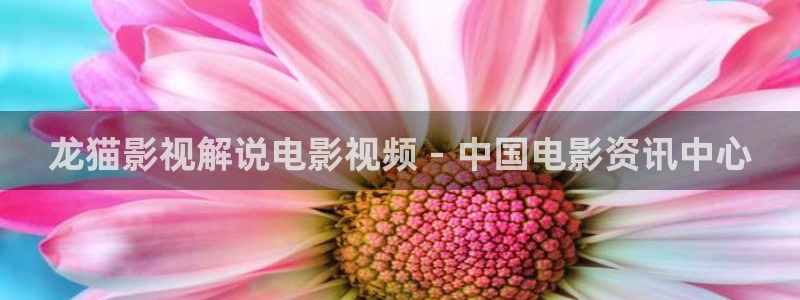 秋霞电影网神马电影网
