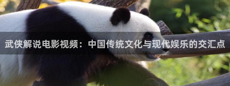 秋霞电影网手机在线观看高清