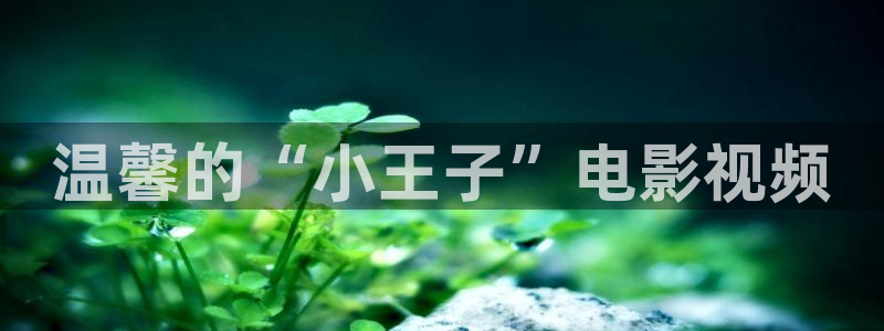 97影院秋霞香蕉