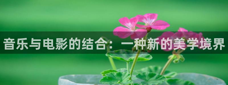 秋霞影院euss