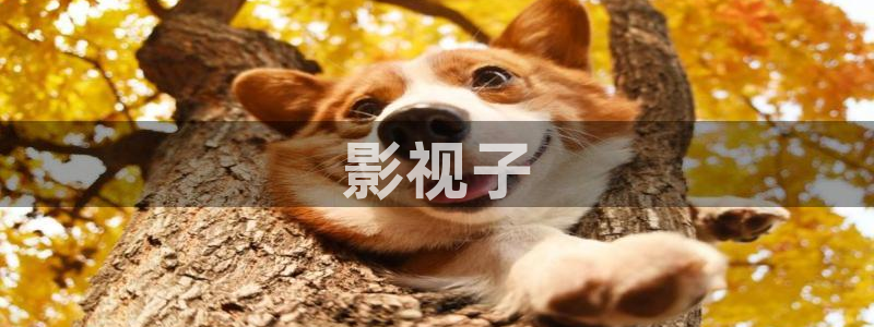 秋霞影院完整版
