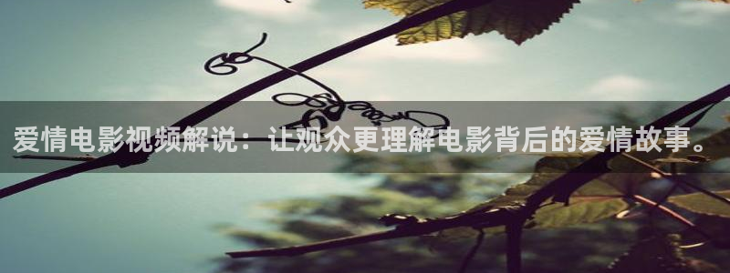秋霞电影网之私人套房