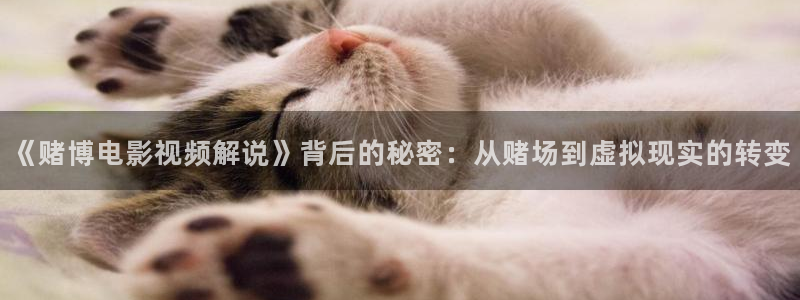 秋霞影视妈妈的朋友