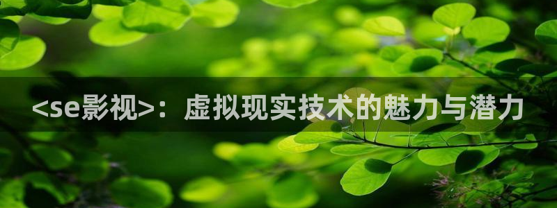 秋霞网一级理论