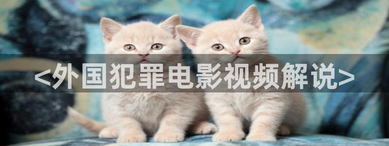 秋霞影院电视剧在线观看全集免费