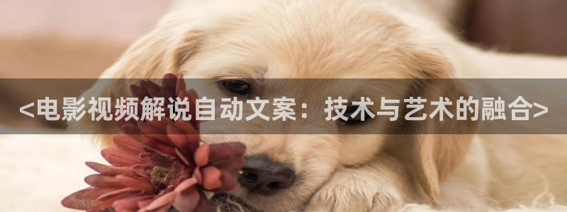 神马电影院在线秋霞