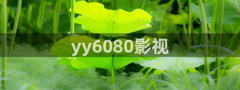 456秋霞电影