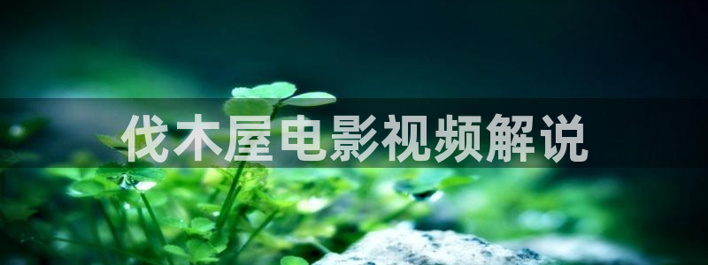 秋霞免费观看电影网站