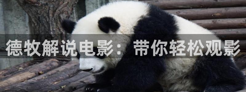 秋霞影视久久