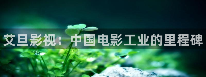 秋霞官网在线