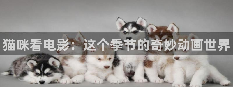 秋霞伦理片26