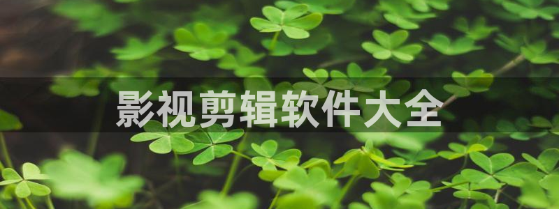 秋霞深夜电影