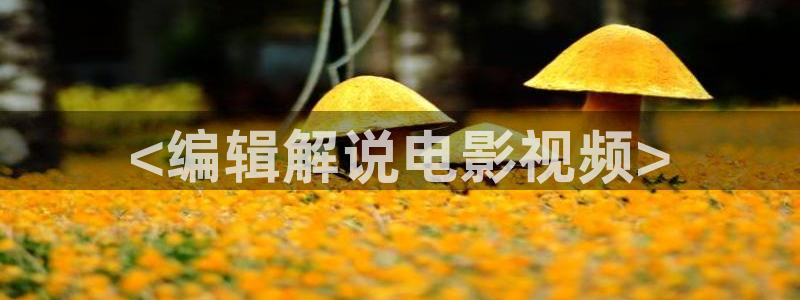 秋霞秋霞影视