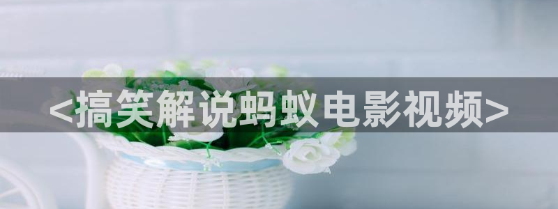 秋霞网啪