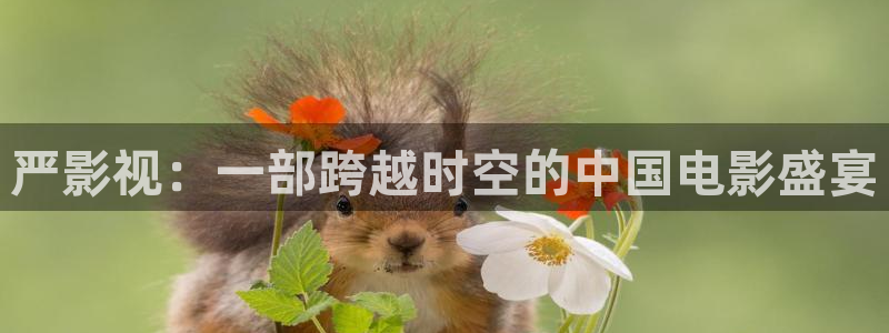秋霞电影网不卡
