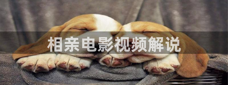 秋霞网鲁丝片