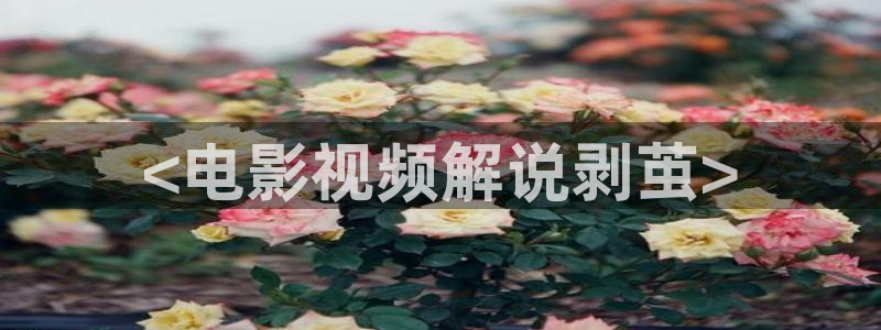 秋霞高清电影