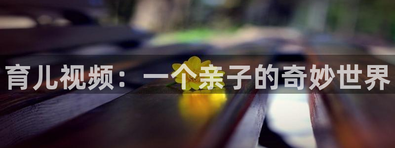 秋霞电影麻豆