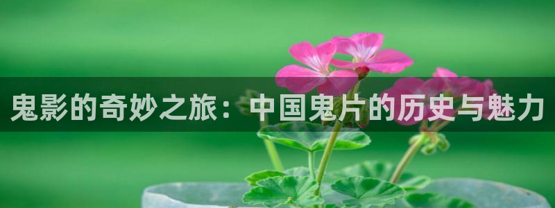 秋霞影院在线2023
