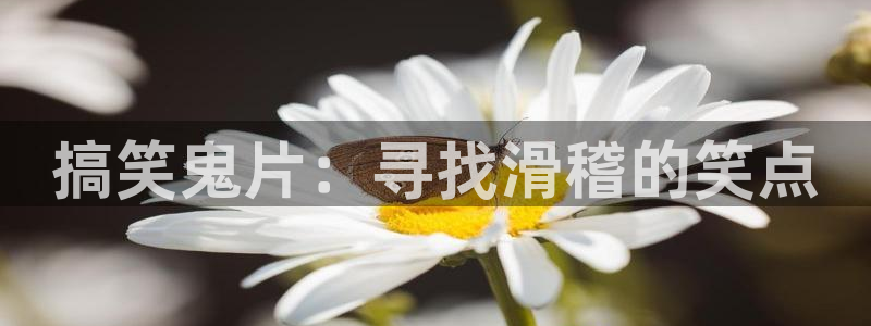 秋霞影院yy：搞笑鬼片：寻找滑稽的笑点