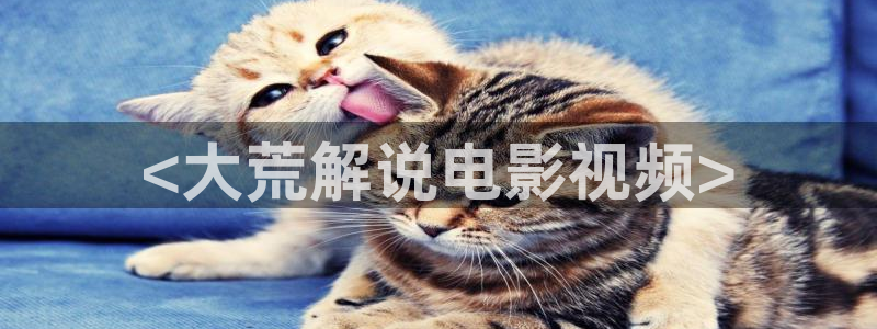 2018年秋霞电影网：<大荒解说电影视频>