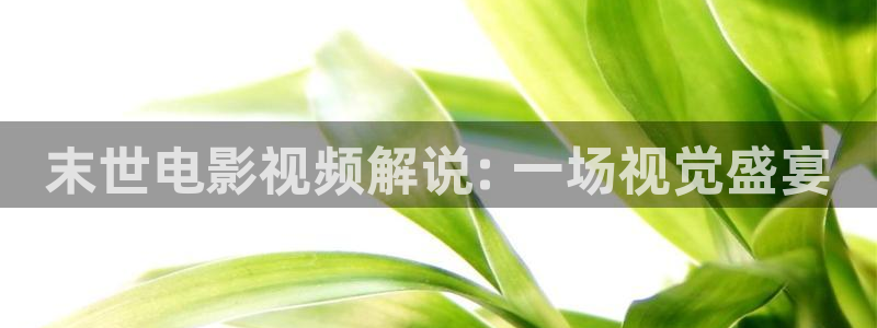 秋霞电影网理论在线